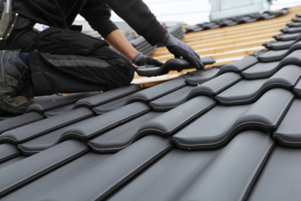 Best Solar Panel Roofing Installation  in Lely Resort, FL